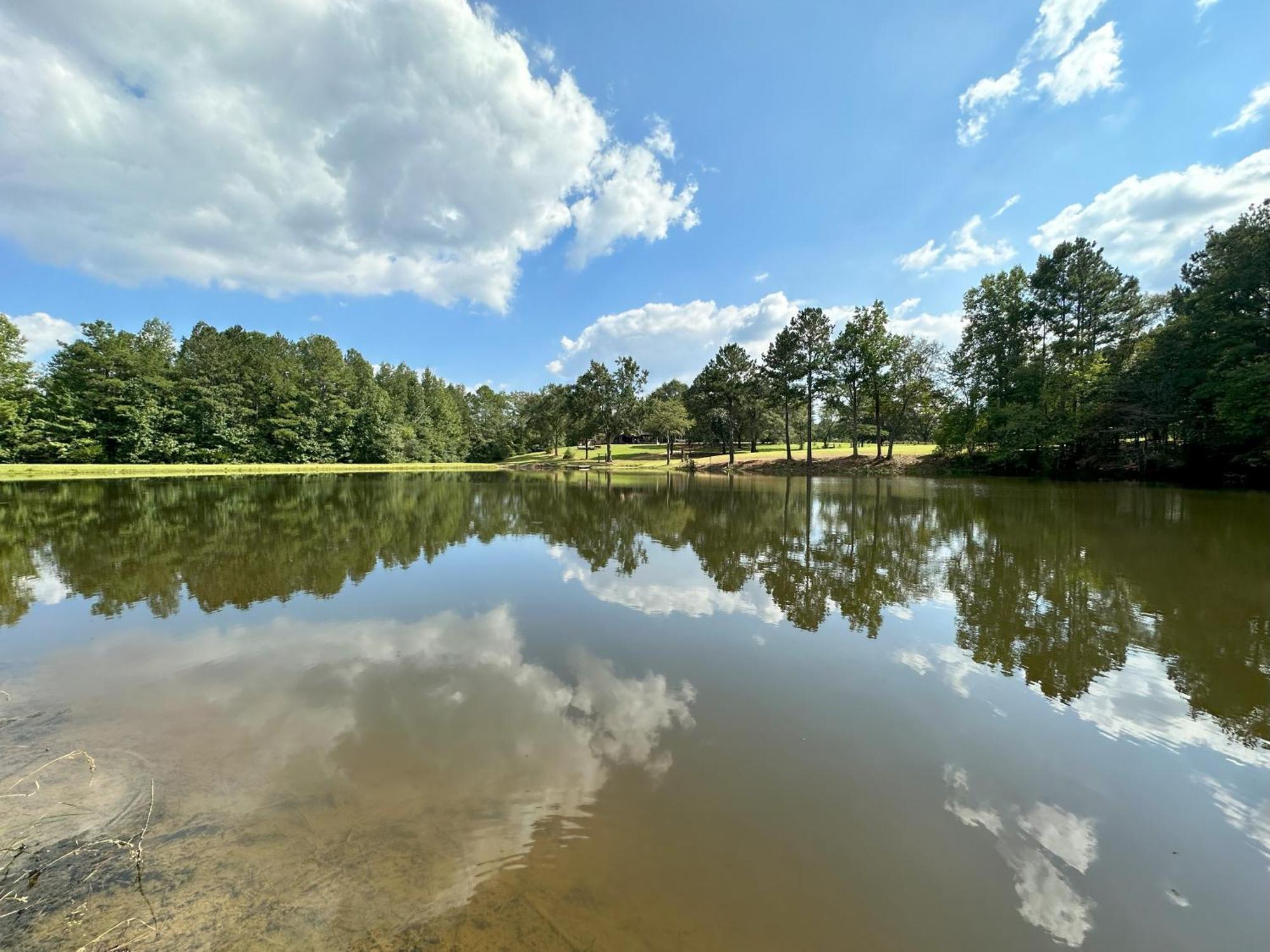 Refuge Ranch Retreat Log Cabin Lake 53+ Acres Locust Grove Exteriör bild